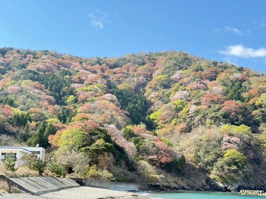 ユーザードキュメント