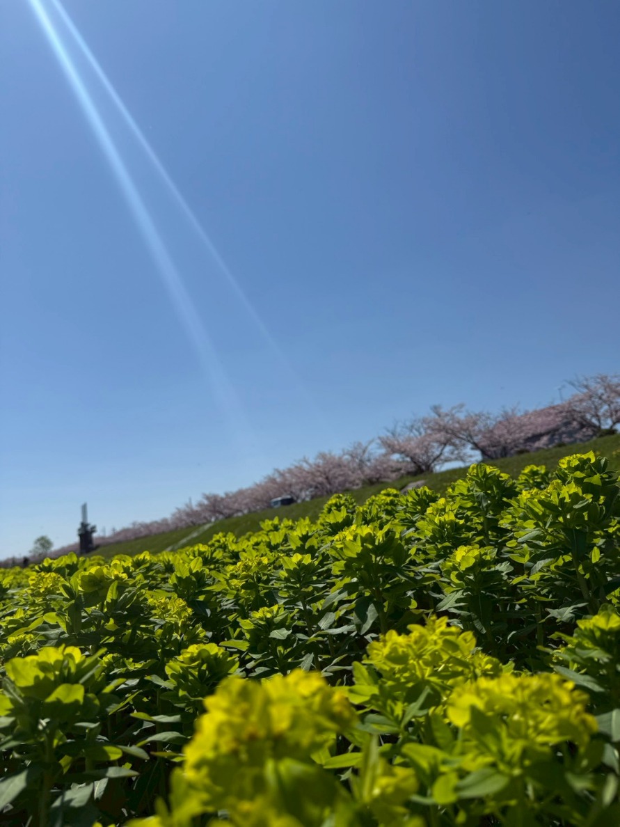 ユーザードキュメント