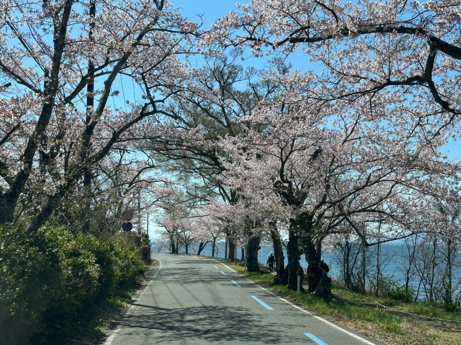 ユーザードキュメント