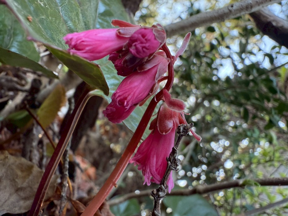 ユーザードキュメント