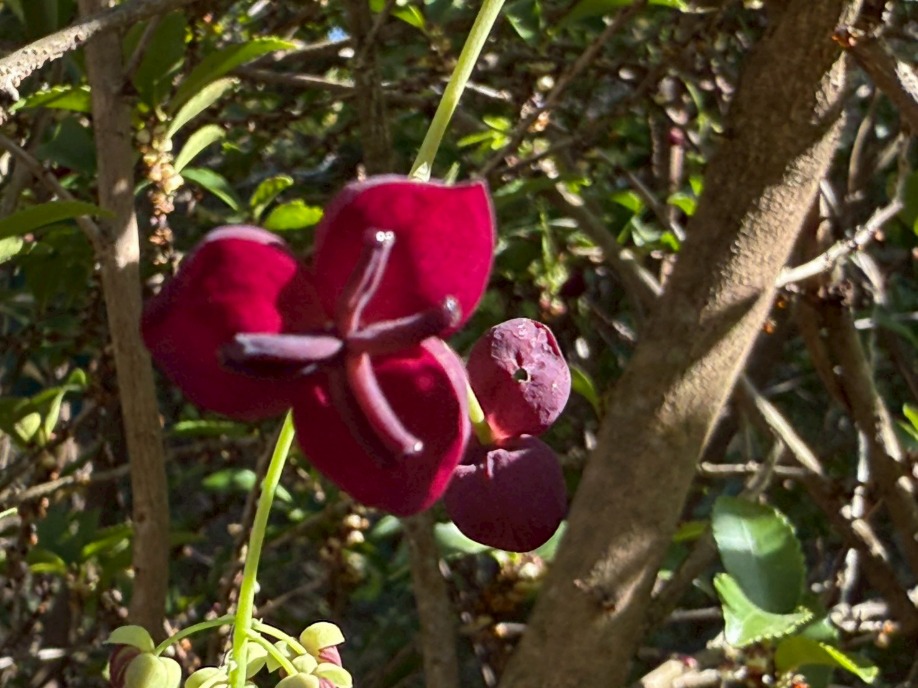 ユーザードキュメント