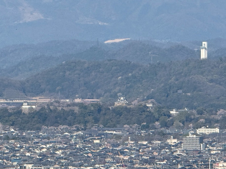 ユーザードキュメント