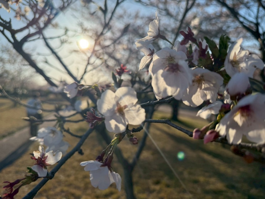 ユーザードキュメント