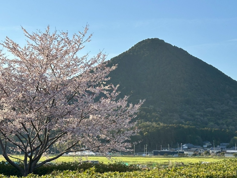 ユーザードキュメント