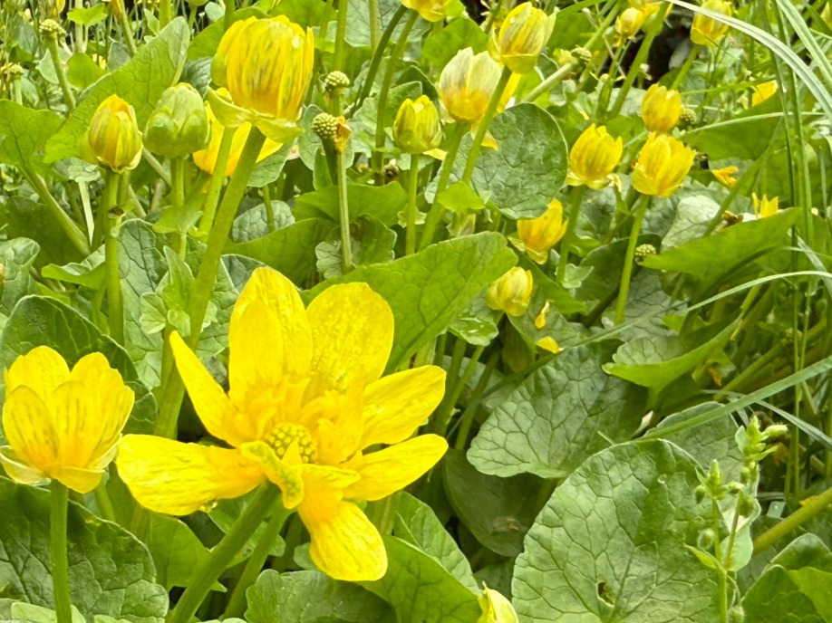 ユーザードキュメント