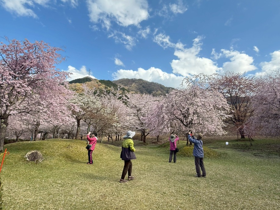 ユーザードキュメント