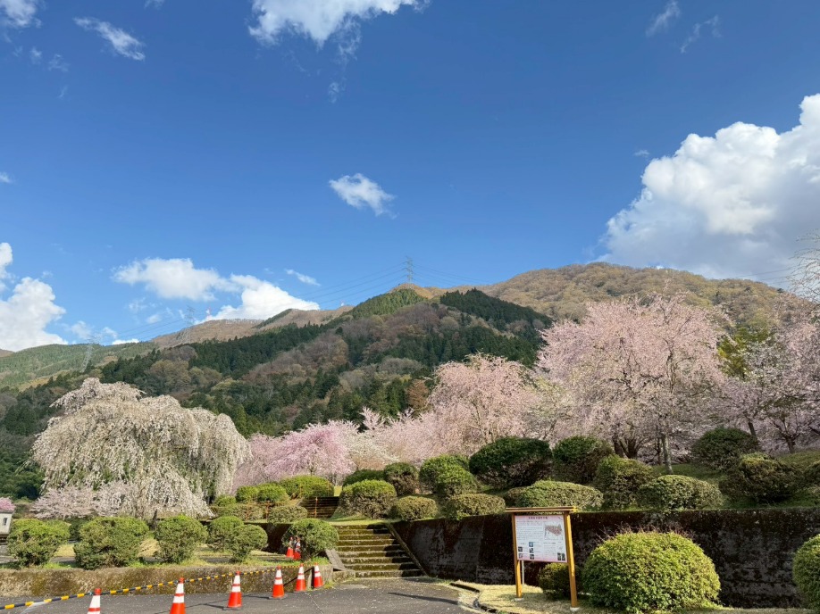 ユーザードキュメント